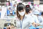 50 triệu lao động Việt có việc làm trong 3 tháng đầu năm 2022