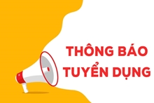 Công Ty TNHH Tư Vấn Đại Quang Minh Thông Báo Tuyển Dụng